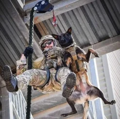 Descendeur spécifique binome homme+ chien - Fast Rope Descender