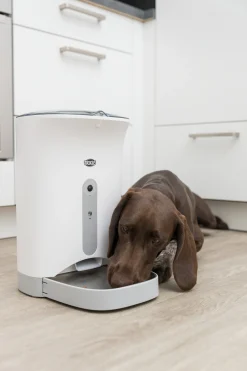 Distributeur automatique de nourriture TX8 Smart