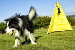 Distributeur de balles Dog Ball kit - BALL Dropper