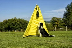 Distributeur de balles Dog Ball kit - BALL Dropper