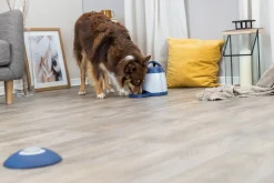 Dog activity Memory Trainer