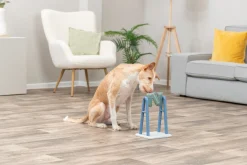 Dog activity Turn Around
