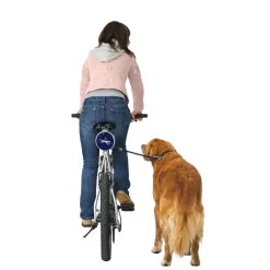 Dog N Roll, Laisse enrouleur pour vélo.