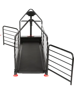 DogRunner tapis roulant - ORTHO PRO