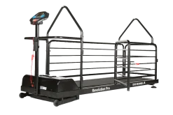 DogRunner tapis roulant - REVOLUTION PRO