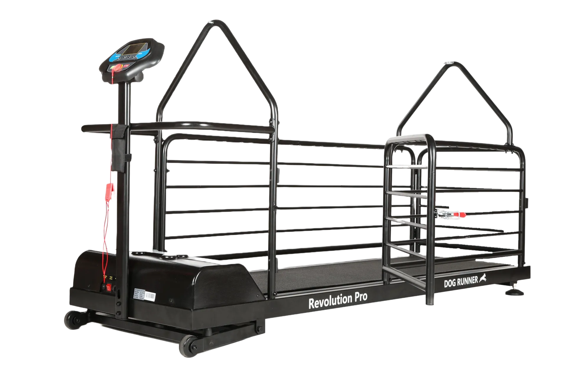 DogRunner tapis roulant - REVOLUTION PRO