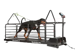 DogRunner tapis roulant - REVOLUTION PRO