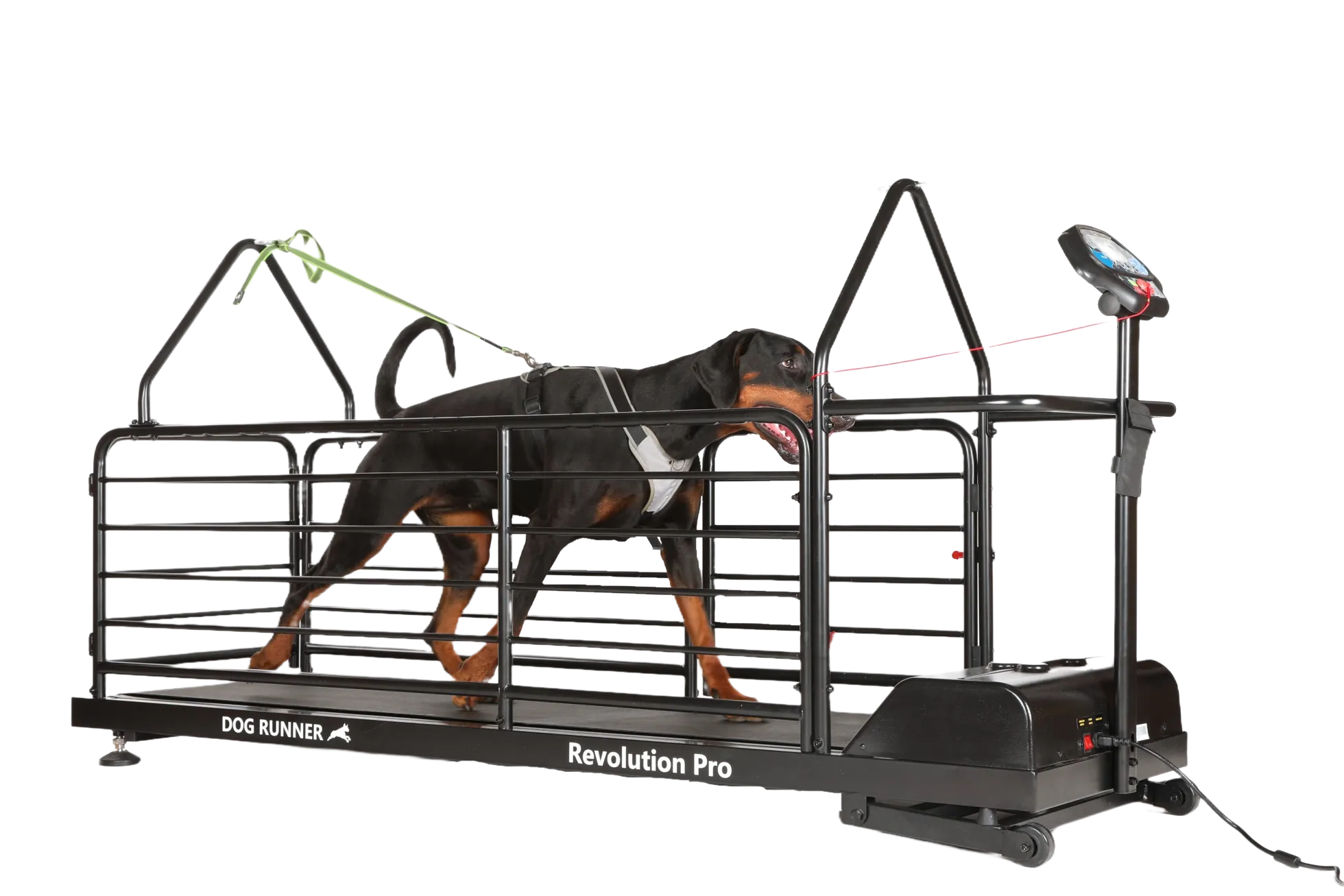 DogRunner tapis roulant - REVOLUTION PRO