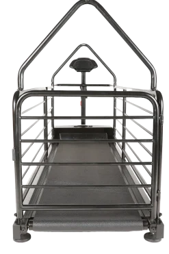 DogRunner tapis roulant - REVOLUTION PRO