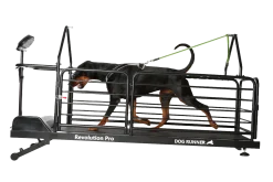 DogRunner tapis roulant - REVOLUTION PRO