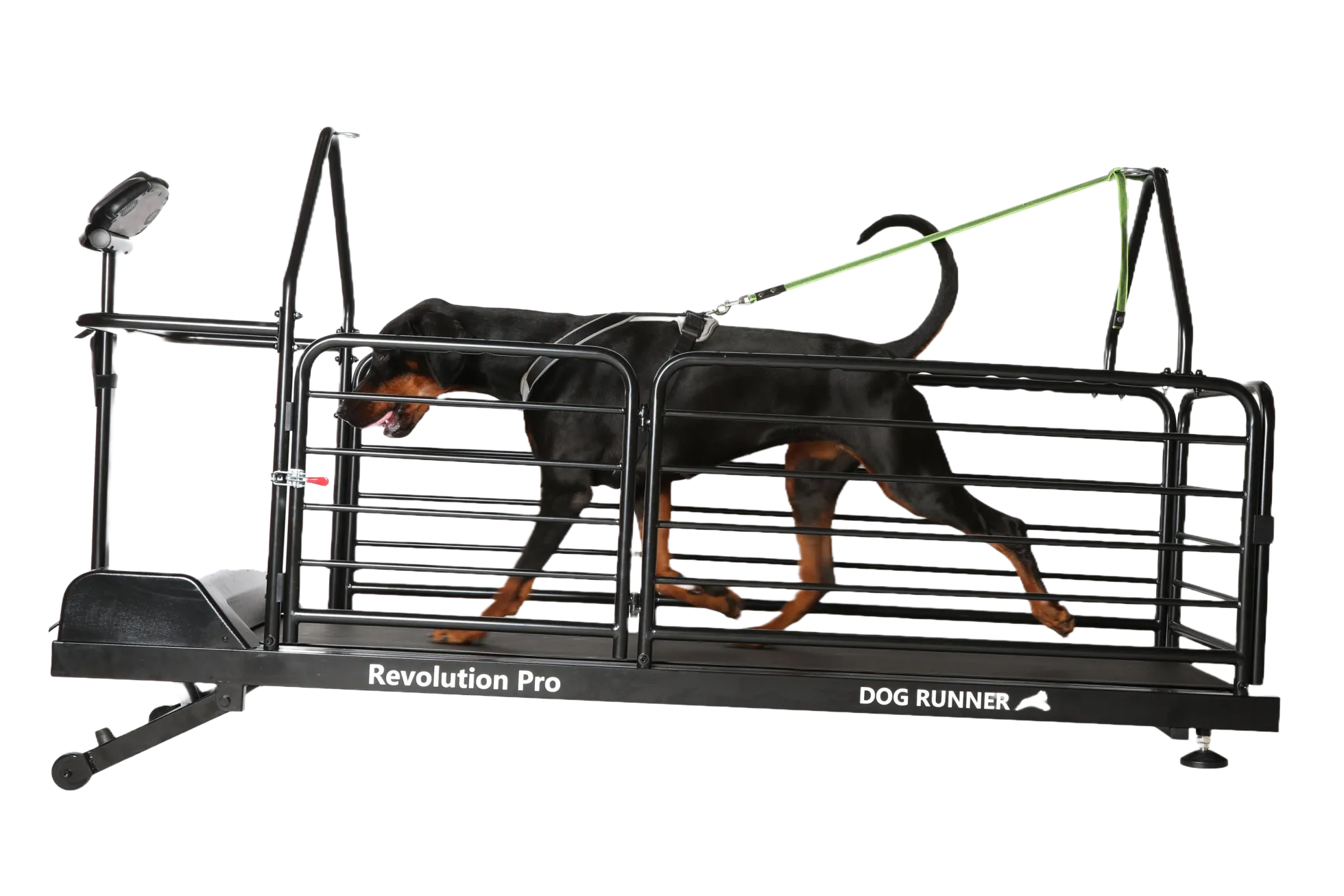 DogRunner tapis roulant - REVOLUTION PRO