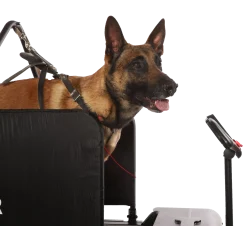 DogRunner tapis roulant - Tracks