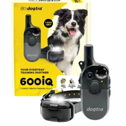Dogtra 600 iQ, 1 chien, portée 600 m