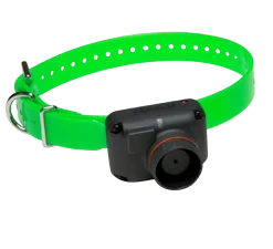 Dogtra RB1002, beeper + télécommande, portée 800 m