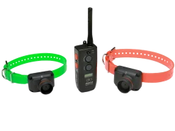 Dogtra RB1002, beeper + télécommande, portée 800 m