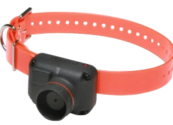 Dogtra RB1002, beeper + télécommande, portée 800 m