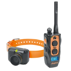 Dogtra 2600 T&B, éducation & beeper + télécommande, portée 1500 m