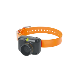 Dogtra 2602 T&B, éducation & beeper + télécommande, portée 1500 m