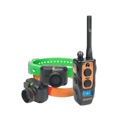 Dogtra 2602 T&B, éducation & beeper + télécommande, portée 1500 m