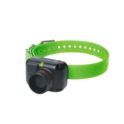 Dogtra 2602 T&B, éducation & beeper + télécommande, portée 1500 m