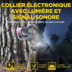 Dogtra 640X, 1 collier, portée 600 m