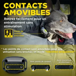 Dogtra 640X, 2 colliers, portée 600 m