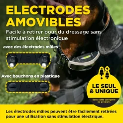 Dogtra 1200X, 2 colliers, portée 1200 m