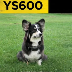 Dogtra YS600, collier anti-aboiement rechargeable