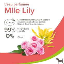 Eau Parfumée Mlle Lily pour femelle 50 ml