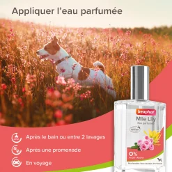 Eau Parfumée Mlle Lily pour femelle 50 ml