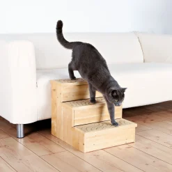 Escalier bois