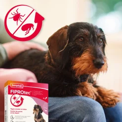 Fiprotec Spot On au friponil chien (2-10kg) contre puces et tiques 4 x 0.67 ml