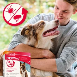 Fiprotec Spot On au friponil chien (10-20kg) contre puces et tiques 4 x 1.34ml
