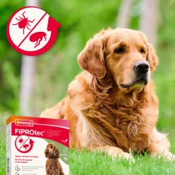 Fiprotec Spot On au friponil chien (20-40kg) contre puces et tiques 4 x 2.68ml