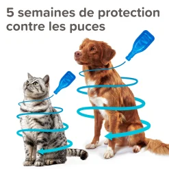 Fiprotec Spot On au friponil chien (20-40kg) contre puces et tiques 4 x 2.68ml