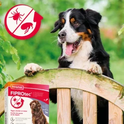 Fiprotec Spot On au friponil chien (40-60kg) contre puces et tiques 4 x 4.02ml