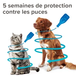 Fiprotec Spot On au friponil chat contre puces et tiques 1 x 0.5 ml