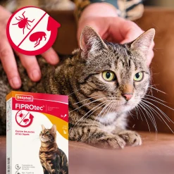 Fiprotec Spot On au friponil chat contre puces et tiques 1 x 0.5 ml