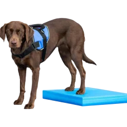 Fitpaws Balance Pad