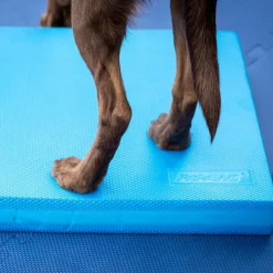 Fitpaws Balance Pad
