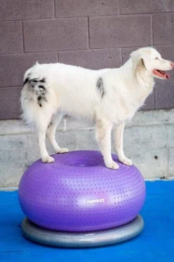 Fitpaws Donut Trax