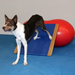 Fitpaws giant rocker board