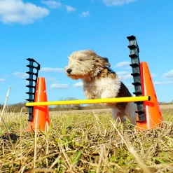 Fitpaws Hurdle Set