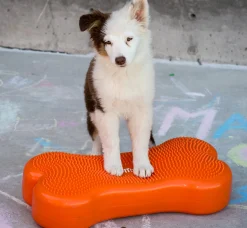 Fitpaws K9 FIT Bone 58 x 29 x 10 cm