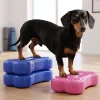Fitpaws Mini Fitbone