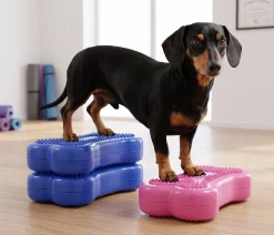 Fitpaws Mini Fitbone