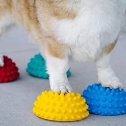 Fitpaws paw pods avec antidérapants