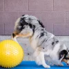 Fitpaws Peanut 40 cm