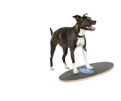 Fitpaws Wobble board 20" - 50 cm