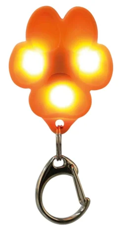 Flasher USB, 3,5 × 4,3 cm, divers